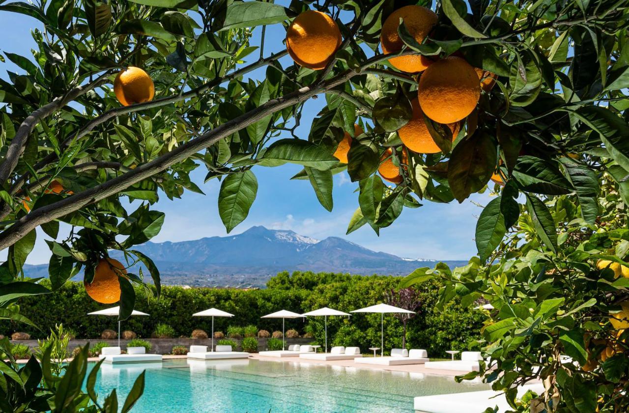 Ramo D'Aria Etna Boutique Hotel Giarre Dış mekan fotoğraf