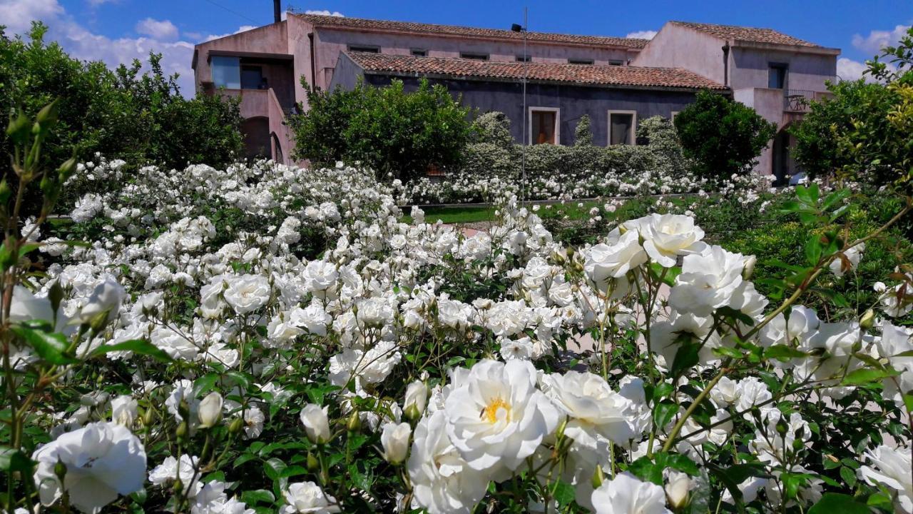 Ramo D'Aria Etna Boutique Hotel Giarre Dış mekan fotoğraf